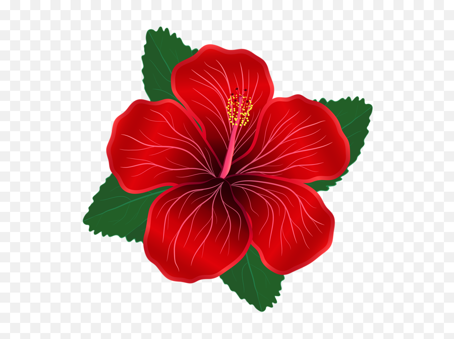 Red Flower Clipart Png - Red Flower Clipart Png,Hawaiian Flowers Png