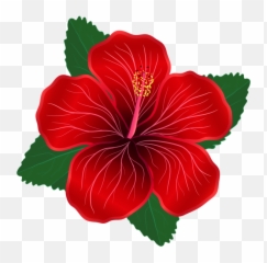 Red Flower Clipart Png - Red Flower Clipart Png,Hawaiian Flowers Png