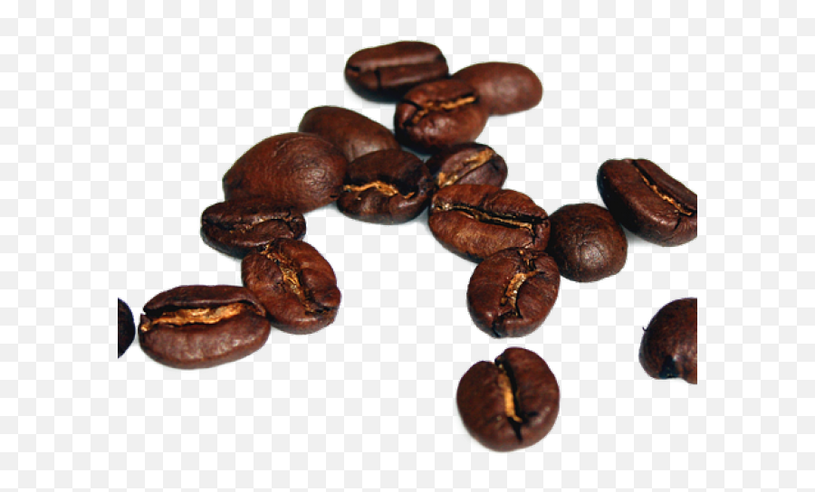 Download Coffee Beans Transparent Background - Full Size Png High Resolution Coffee Beans Png,Coffee Beans Transparent