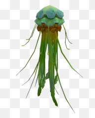 Download Jellyfish Png Image With No Background - PNGkeycom Green