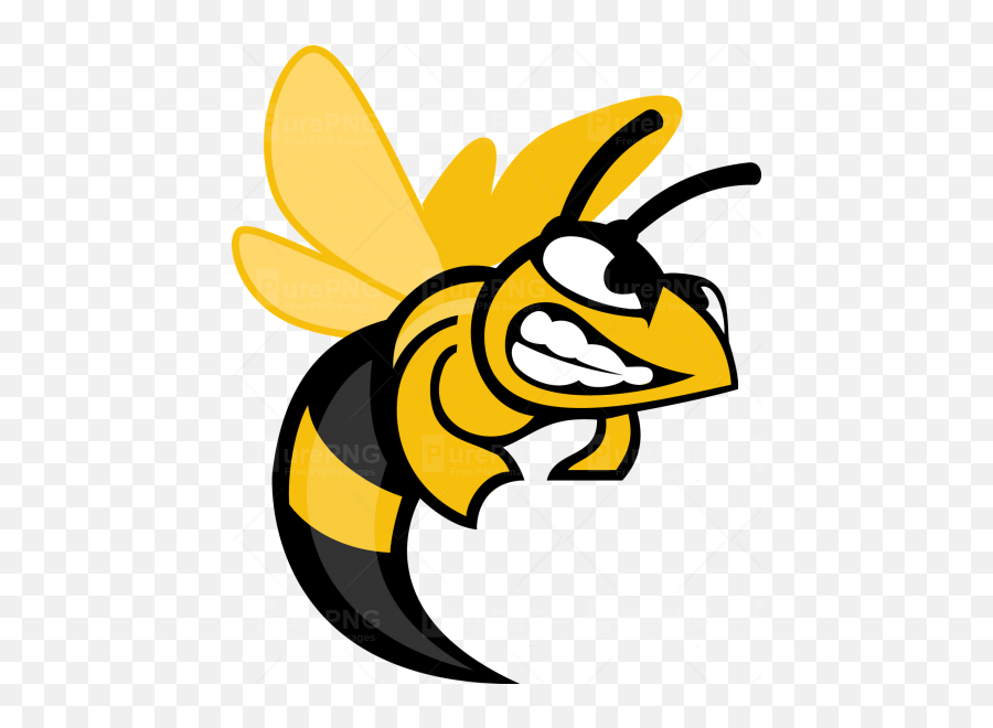 Download Hd Angry Hornet Cartoon Clipart - Angry Bee Clipart Suny Broome Community College Png,Bee Transparent Background