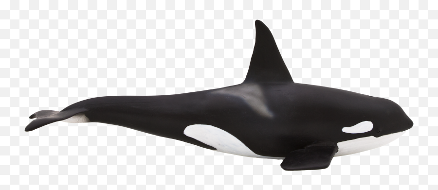 Animal Planet Large Orca - Elephanta Elephanta Balna Figura Png,Orca Png