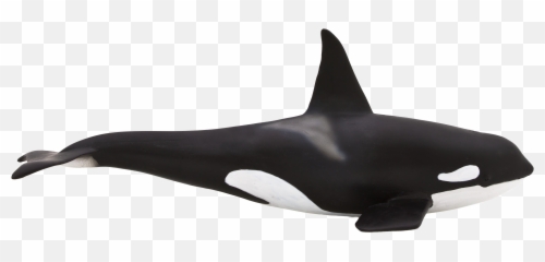 Animal Planet Large Orca - Elephanta Elephanta Balna Figura Png,Orca Png
