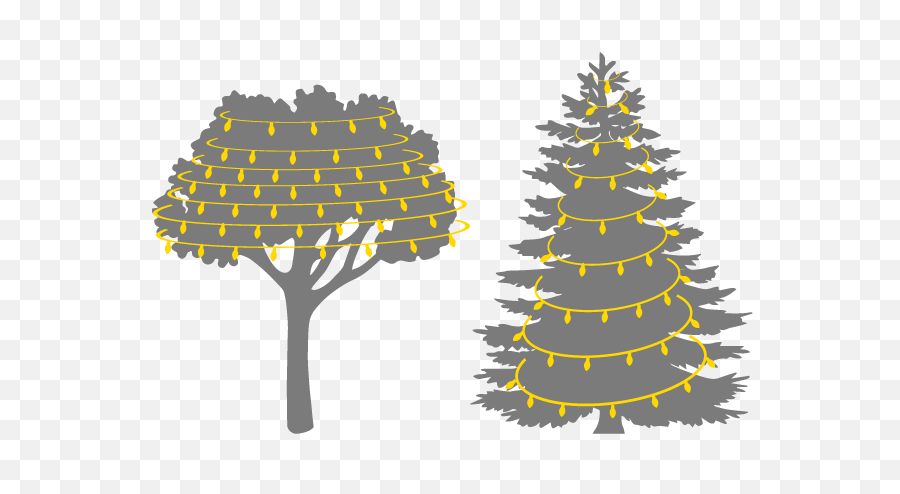 Christmas Tree Light Installation - Pine Tree Silhouette Pine Tree Clip Art Black And White Png,Christmas Tree Silhouette Png