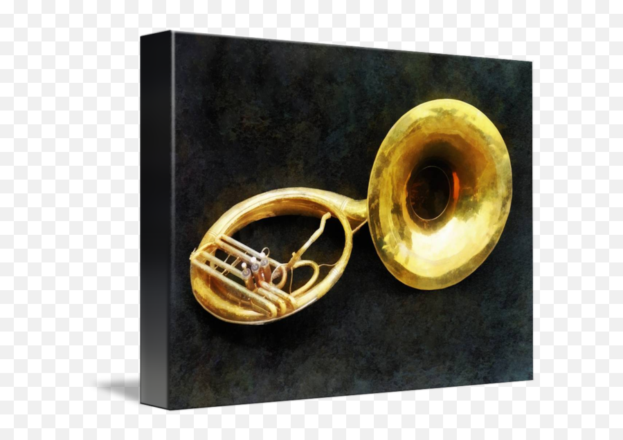 Sousaphone - Types Of Trombone Png,Sousaphone Png