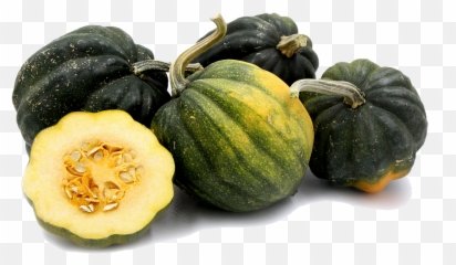 Acorn Squash Png Photos - Acorn Squash Png,Squash Png