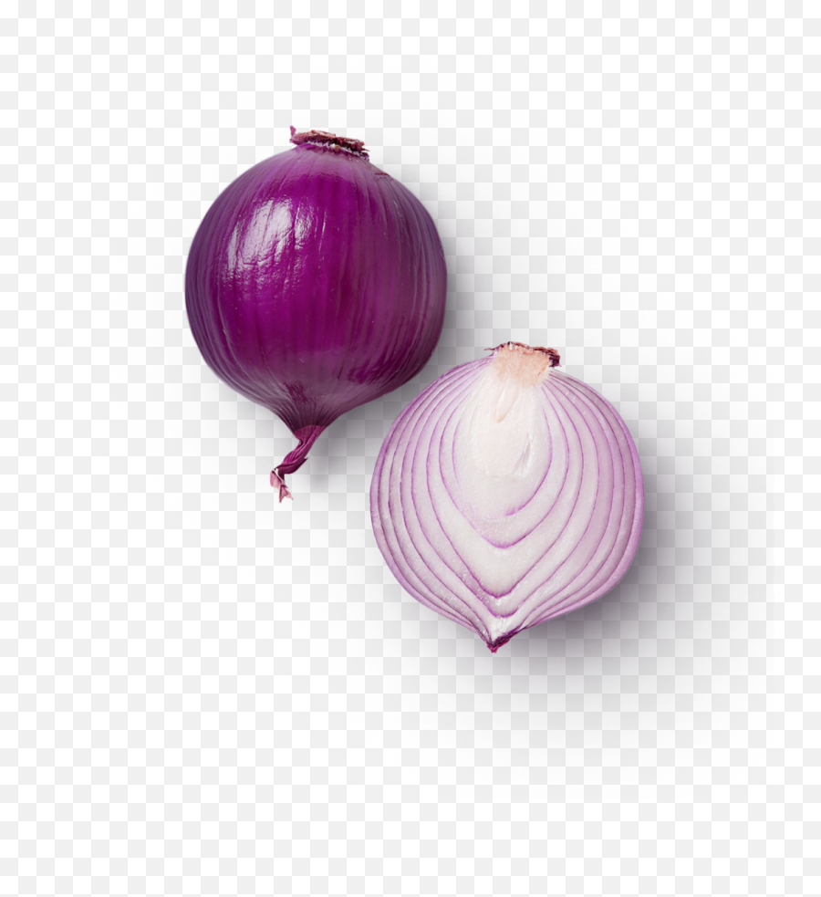Sliced Onion Png 4 Image - Shallot Png,Onion Transparent Background