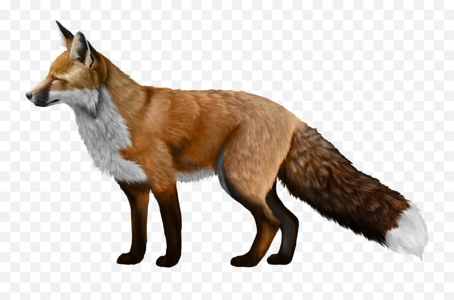 29 Red Fox Clipart Transparent Background Free Clip Art - Fox Png,Fox Clipart Png