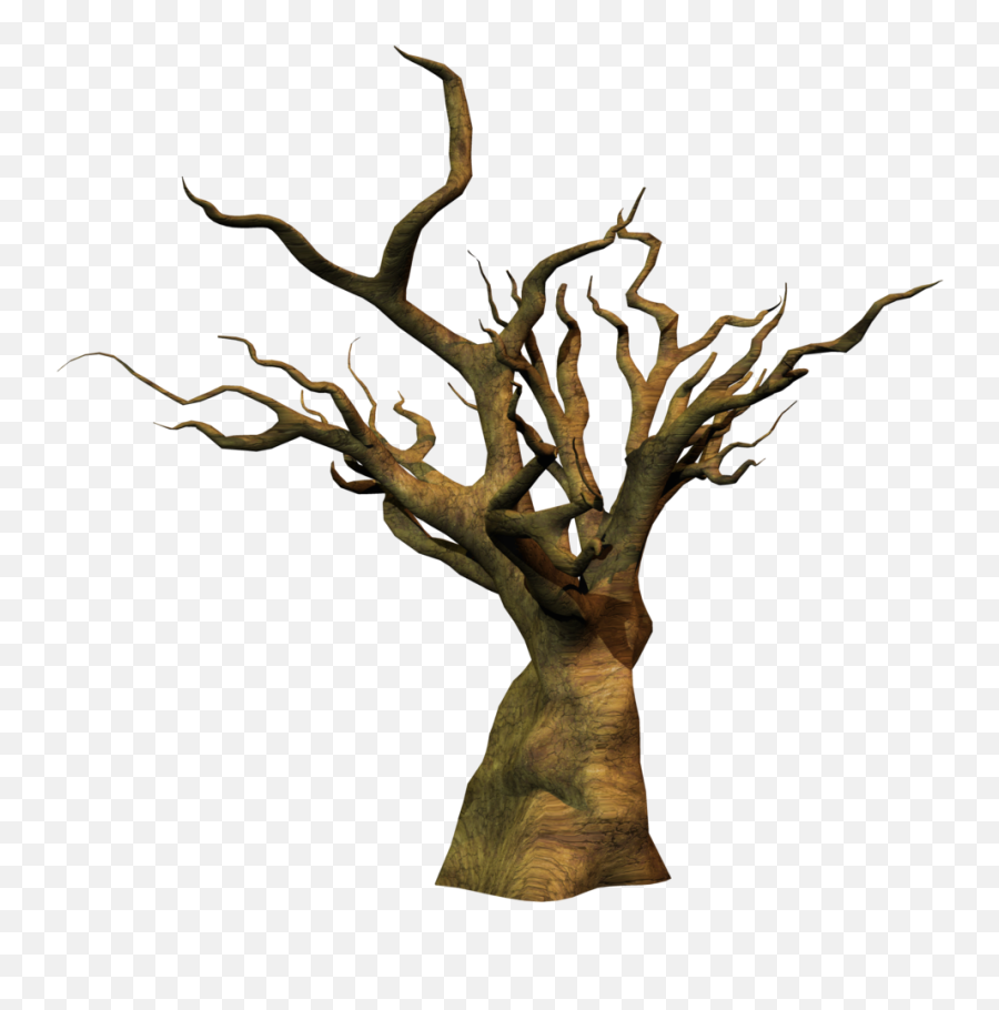 Fantasy Tree Png 3 Image - Dead Tree Png,Forest Tree Png