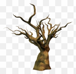 Fantasy Tree Png 3 Image - Dead Tree Png