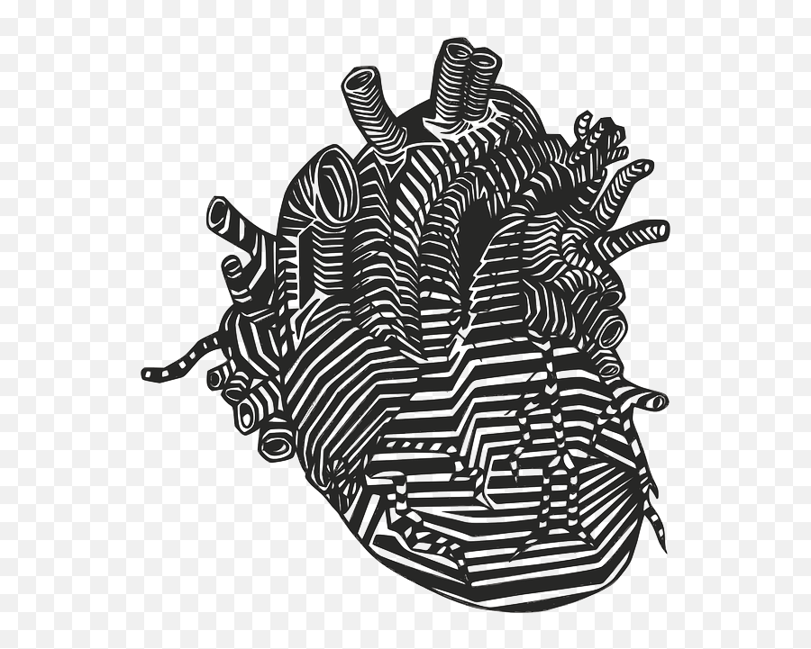 Heart Veins Arteries - Human Heart Drawn Png,Veins Png