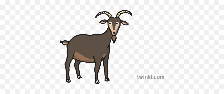 Big Billy Goat Gruff Illustration - Twinkl Animal Figure Png,Goat Horns Png