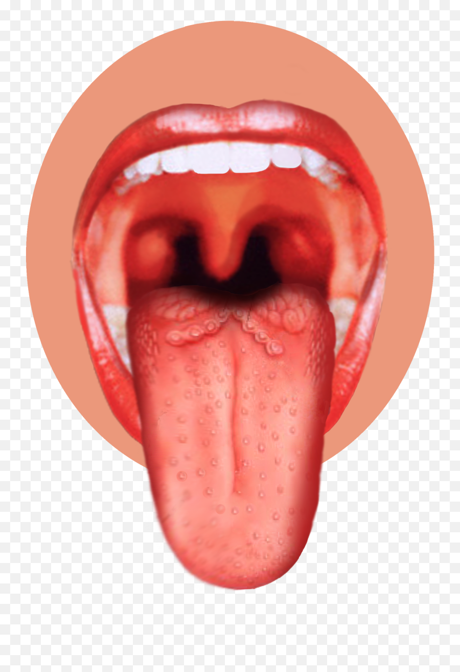 Tongue Icon Clipart - Throat Image Png,Tongue Icon