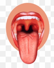 Tongue Icon Clipart - Throat Image Png