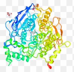 Icn3d Web - based Structure Viewer Protein Clear Background png