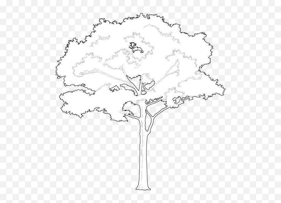 2d Trees - Tree Vector Png White,Black And White Tree Png