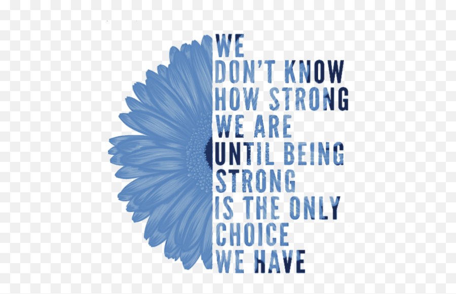 We Dont Know How Strong Png - We Don T Know How Strong We,Whats A Png