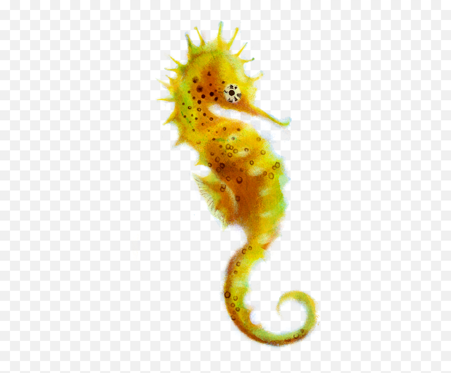 Seahorse Png Picture - Transparent Sea Horse Png,Seahorse Png