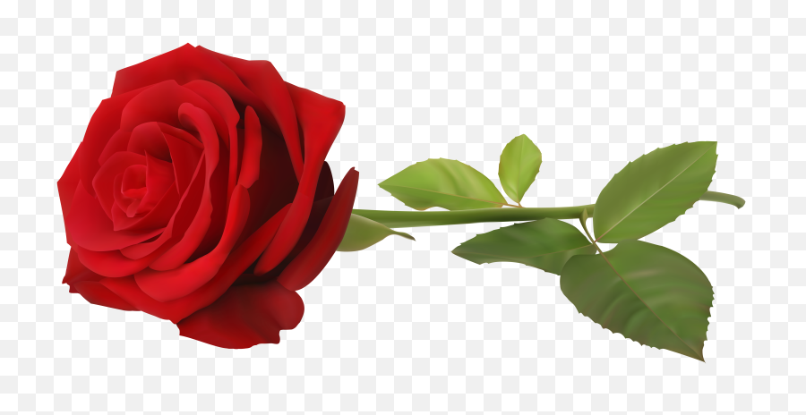 Single Rose Flower Png 1 Image - Rose With Stem Transparent,Single Flower Png
