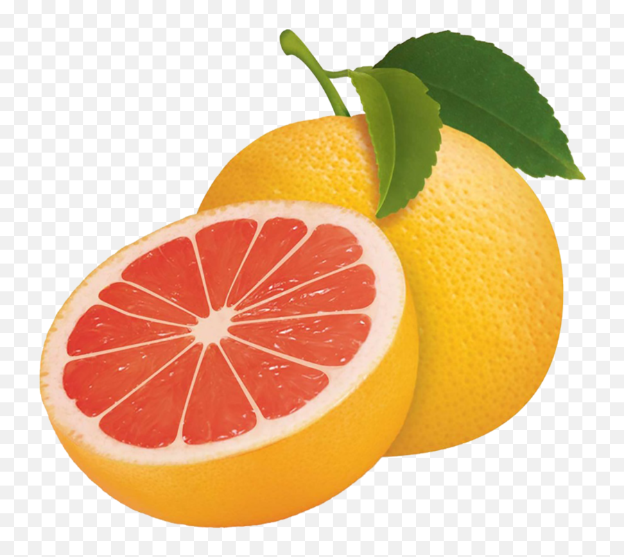 Download Free Png Grapefruit - Grapefruit Clipart Png,Grapefruit Png