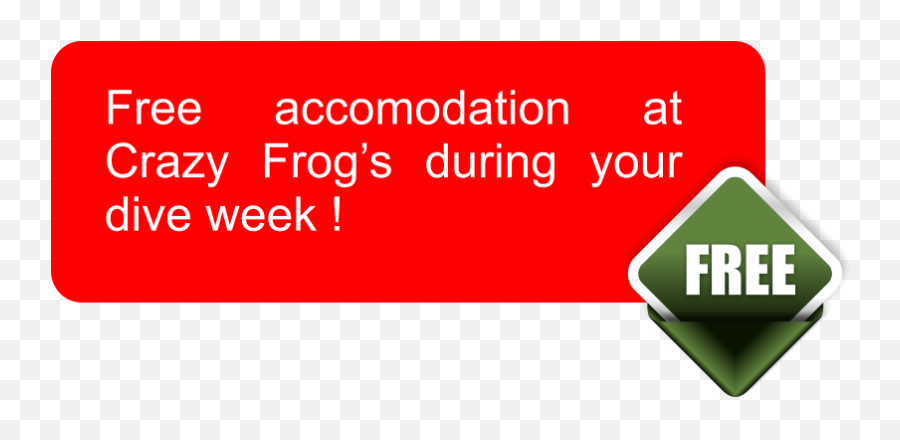 Accomodation And Dive Trip Prices With Crazy Frog Center - Blue Screen Png,Crazy Frog Png