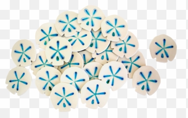 Sand Dollar Glass Crackle Porcelain Coaster Set Of 4 - Symmetry Png,Sand Dollar Png