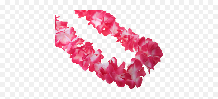 Hawaiian Lei Garlands Colour Event Supplies Running Imp - Artificial Flower Png,Flower Garland Png