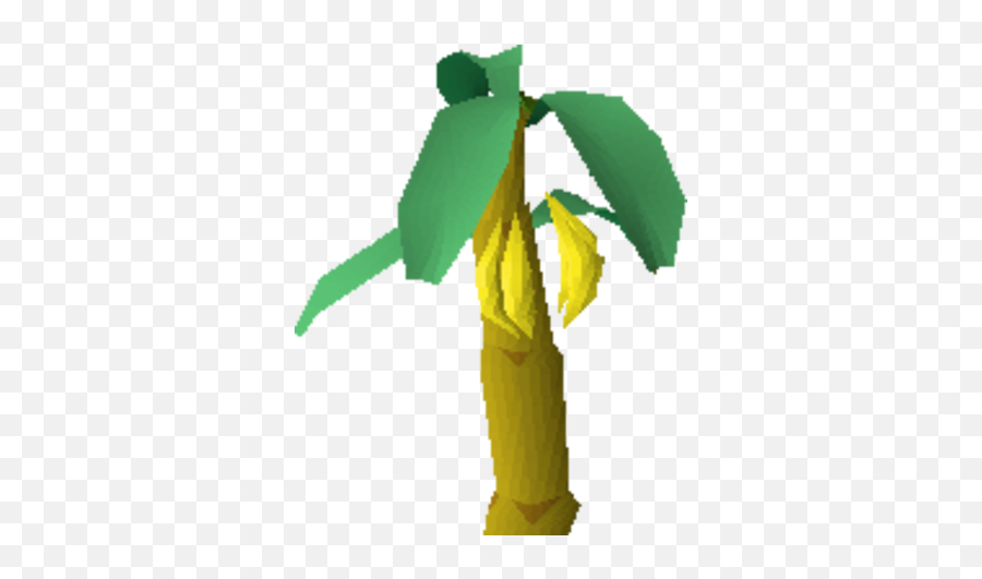 Banana Tree - Tree Png,Banana Tree Png