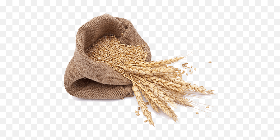Download Local Wheat Flour - Milled Grains Png,Grain Png