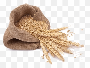 Download Local Wheat Flour - Milled Grains png