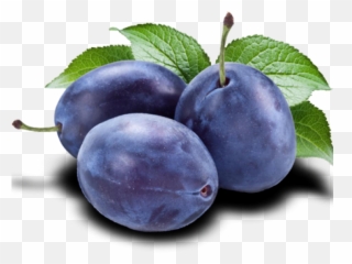 Plum Png Transparent - Blue Plums Clip Art,Plum Png