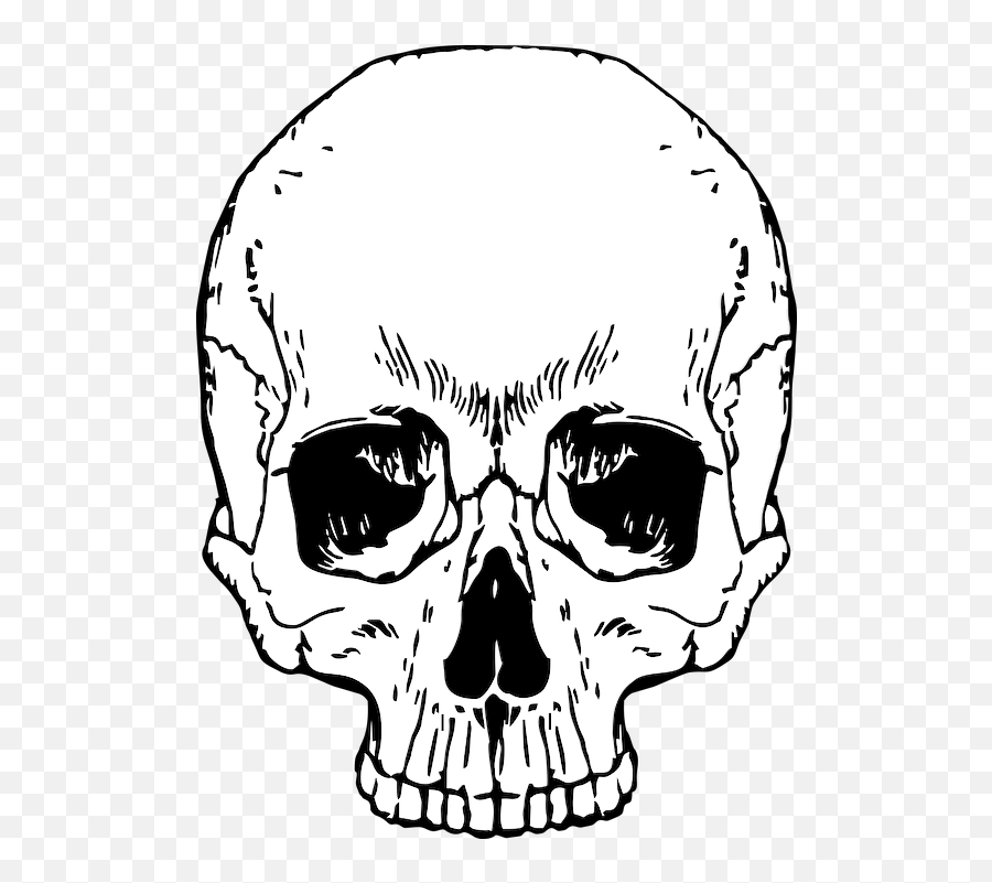 Skull Skeleton Halloween - Skull And Crossbones Png Transparent,Skull ...
