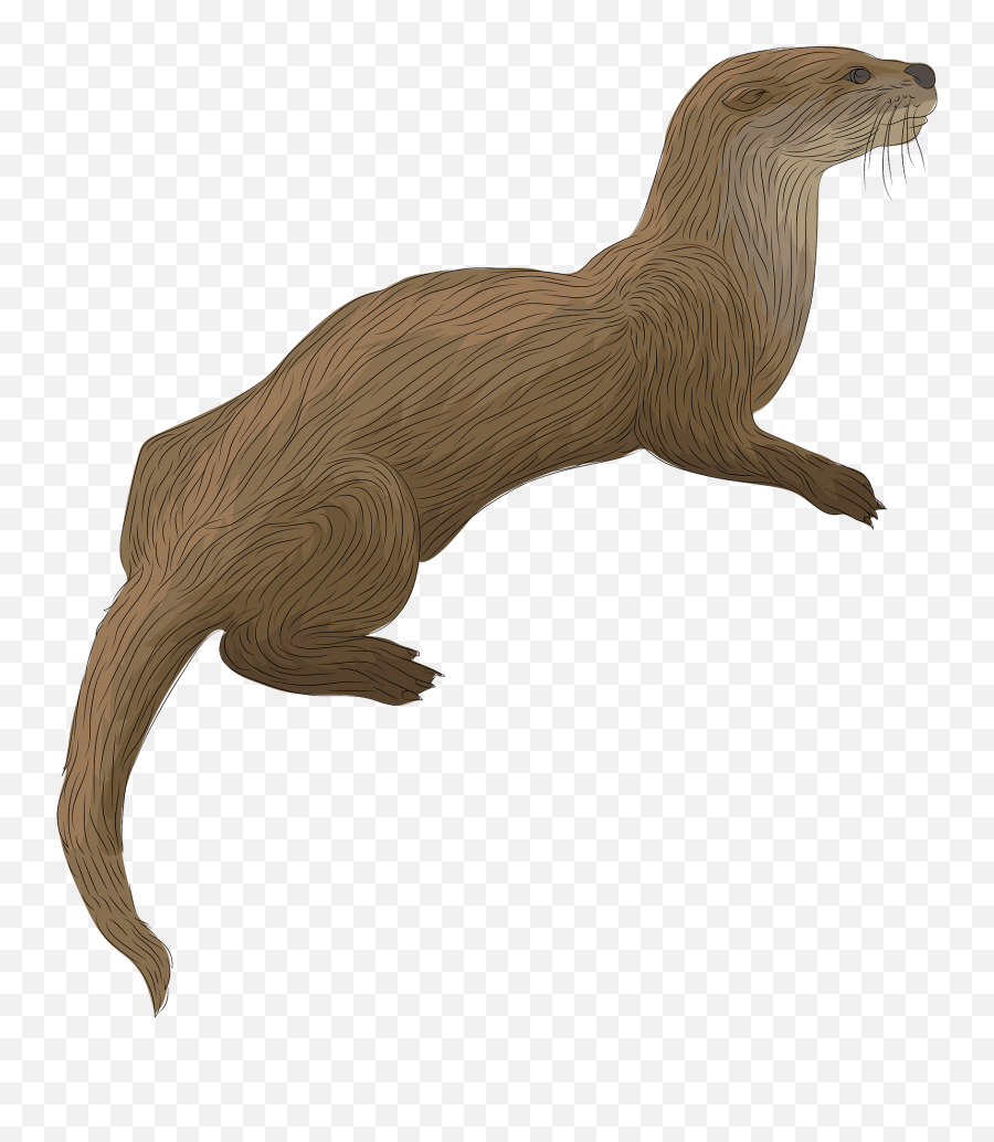 River Otter Clipart - Otter Clipart Png,Otter Png