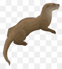 River Otter Clipart - Otter Clipart Png,Otter Png