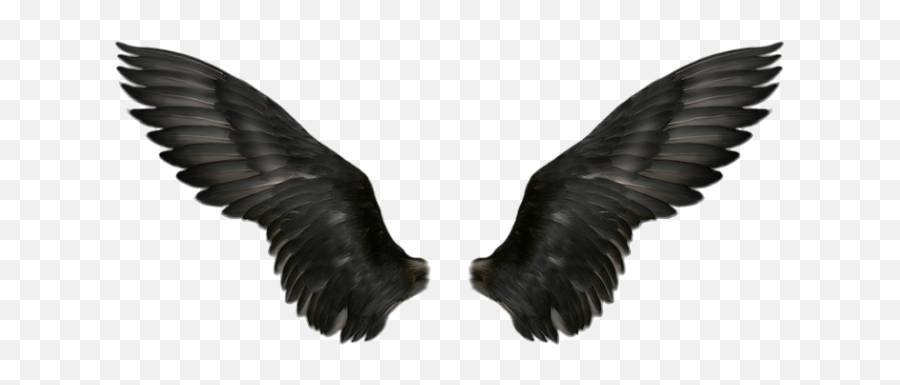 Wings Png Image - Dark Wings Png,Eagle Wings Png
