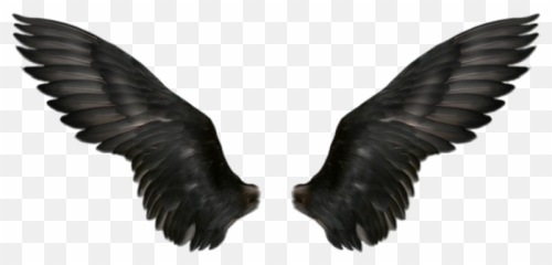 Wings Png Image - Dark