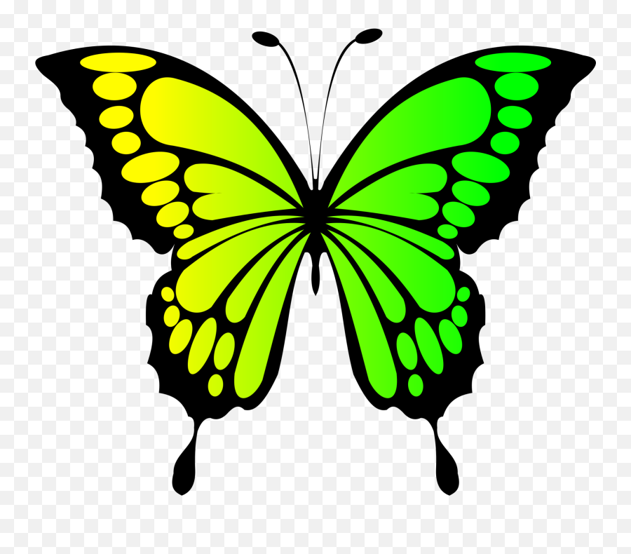Green Butterfly Png Clip Arts For Web - Clip Art Blue Butterfly,Butterfly Png