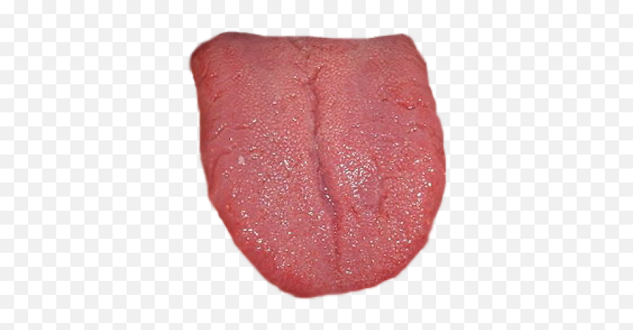 Tongue Png And Vectors For Free Download - Dlpngcom Tongue Png,Tongue Transparent