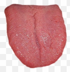 Tongue Png And Vectors For Free Download - DLPNGcom Tongue Png