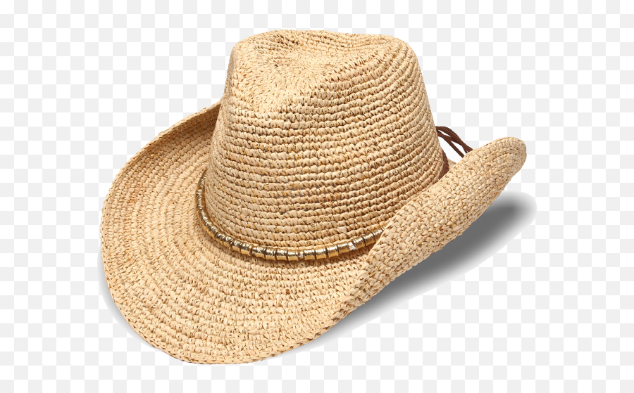Download Free Raffia Hat Picture Icon - Sun Hat Png,Cowgirl Hat Png