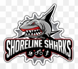 Shorline Sharks - Shark Racing Logo Png,Shark Logo Png