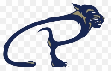 Pitt Soccer Falls To Clemson 2 - 1 In ACC Final WESB B1075 Bradford Athletics Logo png