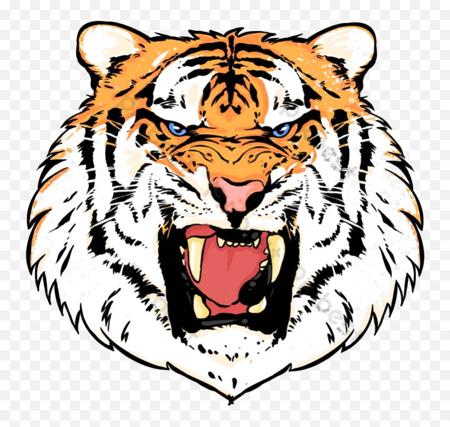Drawing Tiger With Teeth Free Png Transparent Images - Siberian Tiger,Bengal Tiger Icon