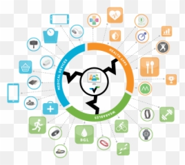Validic Raises To Accelerate Health - Digital Ecosystem png