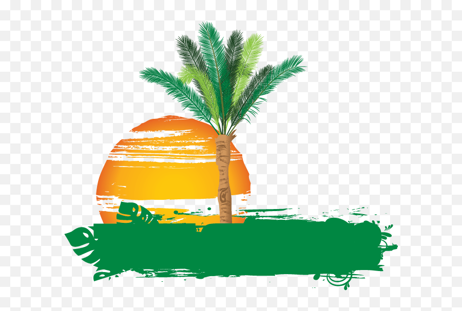 Palm Tree Logo Design - Logo With Palm Tree Png,Palm Tree Logo Png