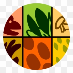 Classification - BrainPOP Dot png