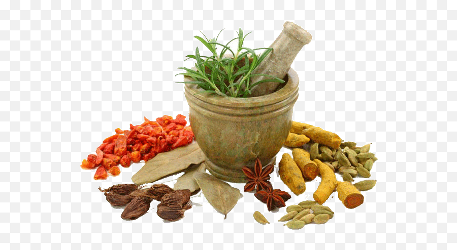 Download Herbs Png Transparent Image - Herbs Png,Herbs Png