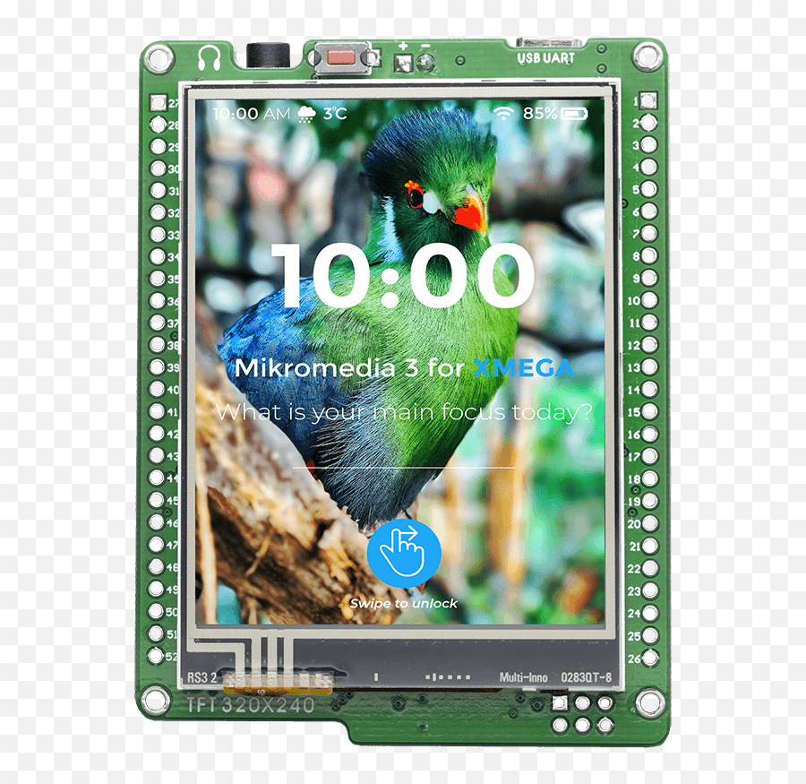 Mikromedia For Xmega - Avr Development Board For Multimedia Bird That Color Green And Blue Png,Quetzal Icon