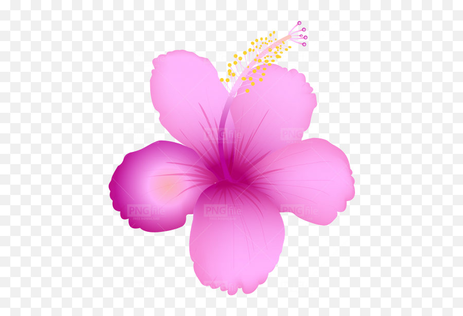 Tropical Summer Flower Png Free - Hawaiian Hibiscus,Hawaiian Flowers Png