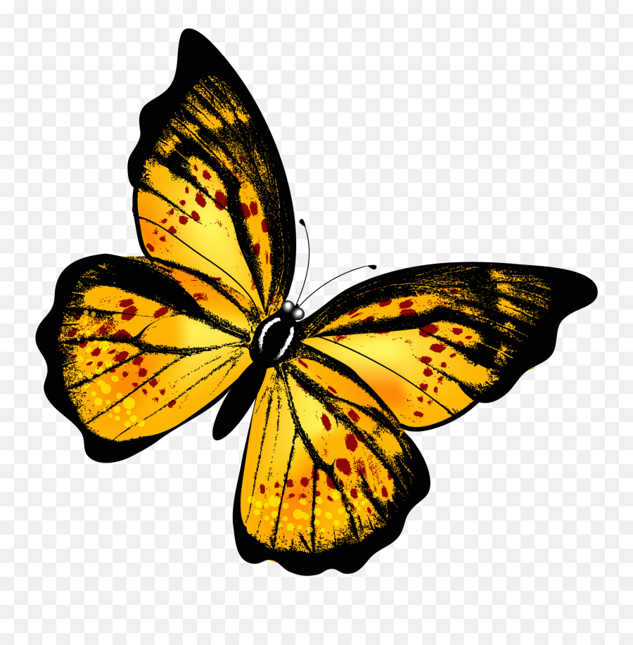 Butterflies Png Transparent 3 Image - Yellow Butterfly Png,Butterflies Transparent Background